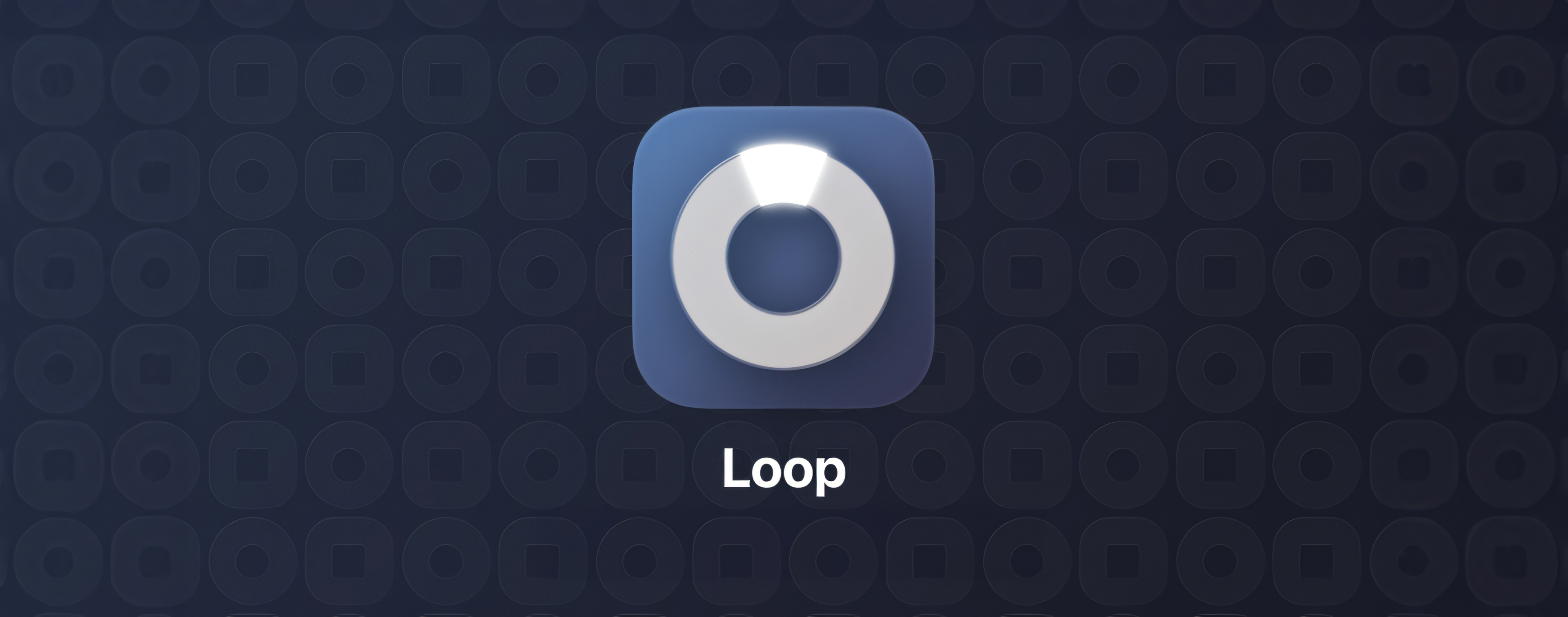 Loop Hero Image